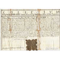 Collegium Emi. Et. Rev. DD. S.R.E. Cardinalium S. Cong. Rev. Fabricae S. Petri de Urbe Deputatorum