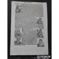 1493 - CRONACHE DI NORIMBERGA - FOLIUM CCIIII - SEXTA ETAS MUNDI