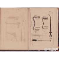 Libro Antico Lezioni sulle Malattie delle Donne - Ginecologia illustrata