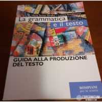 La grammatica e il testo. Guida Alla Produzione Del Testo