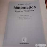Matematica Guida Per L'Insegnante
